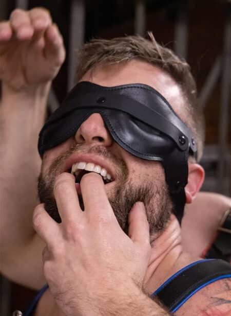 Mr. S Leather Head Trip Blindfold