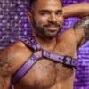 Mr. S Leather Slingshot Tri-Harness Purple