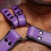 Mr. S Leather Slingshot Tri-Harness Purple