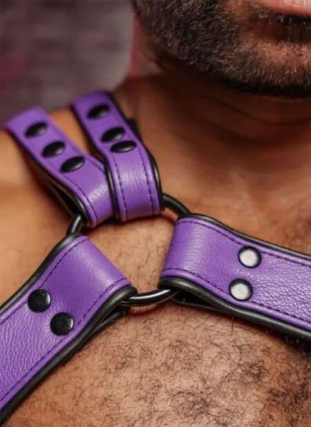 Mr. S Leather Slingshot Tri-Harness Purple