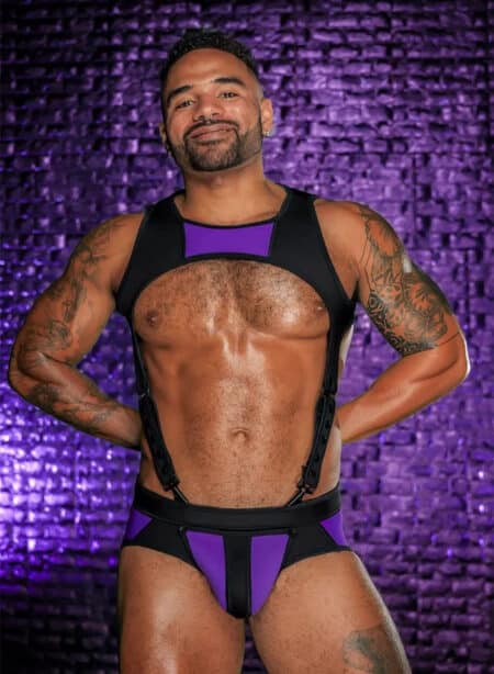 Mr. S Neo Archer Body Harness Purple