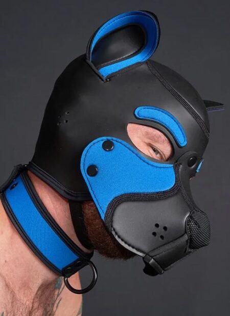 Mr. S Neo Frisky Pup Hood Cobalt Blue