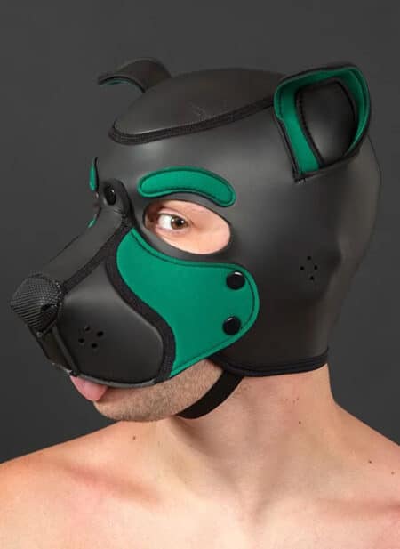 Mr. S Neo Frisky Pup Hood Hunter