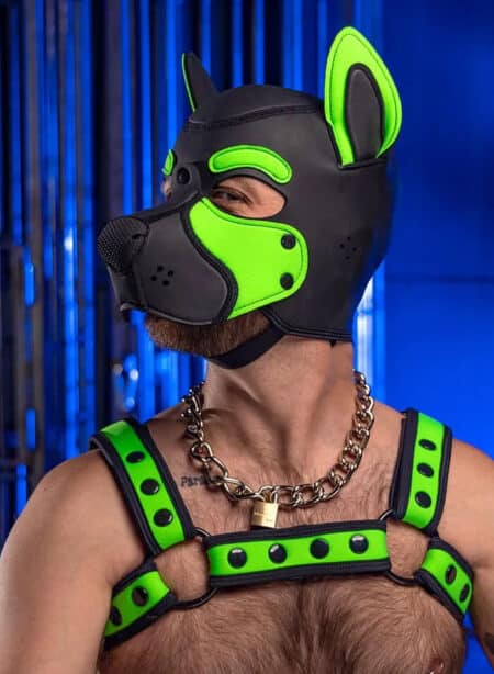 Mr. S Neo Frisky Pup Hood Lime
