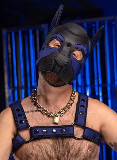 Mr. S Neo Frisky Pup Hood Navy