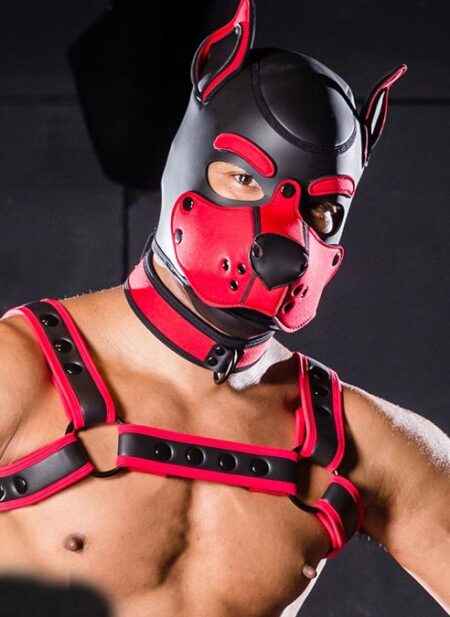 Mr. S Neo K9 Hood Red