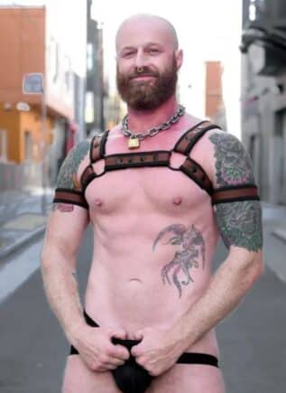 Mr. S Neoprene Bold Color Bulldog Harness (14 colors)