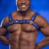 Mr. S Neoprene Bold Color Bulldog Harness (14 colors)