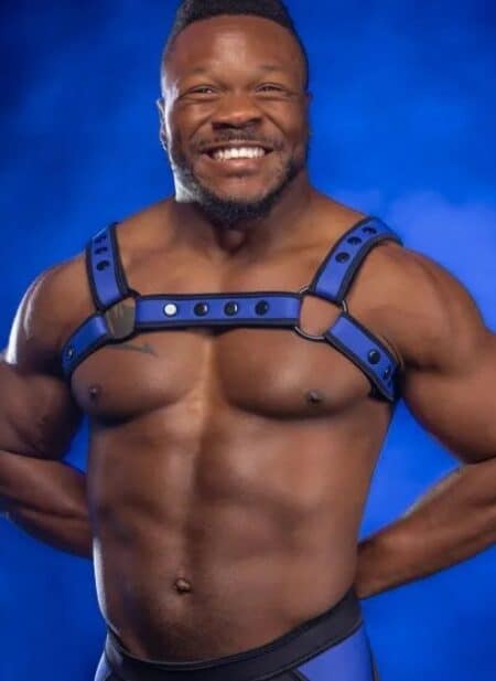 Mr. S Neoprene Bold Color Bulldog Harness (14 colors)