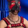 Mr. S Neoprene Bold Color Bulldog Harness (14 colors)