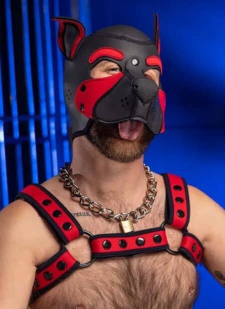 Mr. S Neoprene Bold Color Bulldog Harness (14 colors)