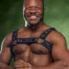 Mr. S Neoprene Bold Color Bulldog Harness (14 colors)