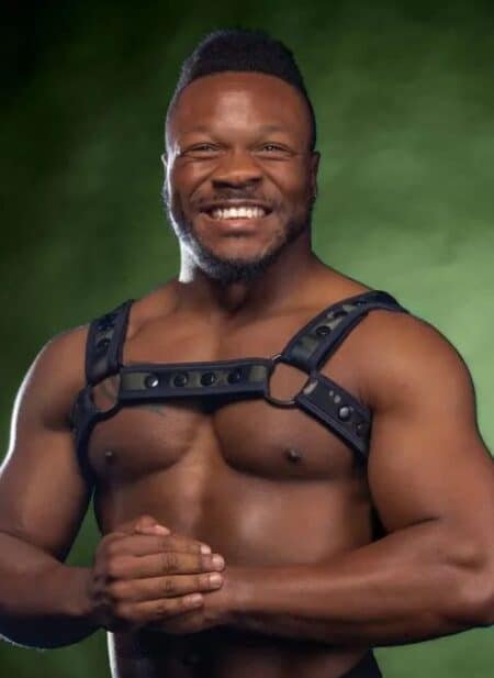 Mr. S Neoprene Bold Color Bulldog Harness (14 colors)