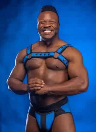 Mr. S Neoprene Bold Color Bulldog Harness (14 colors)
