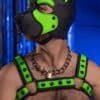 Mr. S Neoprene Bold Color Bulldog Harness (14 colors)
