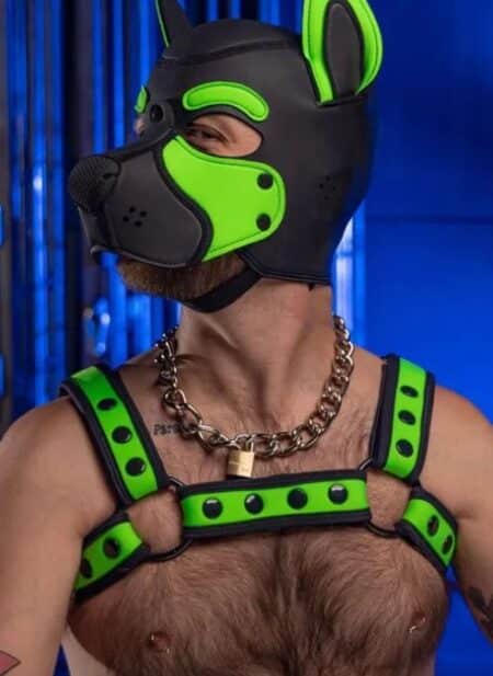 Mr. S Neoprene Bold Color Bulldog Harness (14 colors)