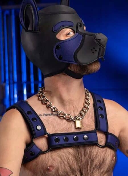 Mr. S Neoprene Bold Color Bulldog Harness (14 colors)