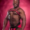 Mr. S Neoprene Bold Color Bulldog Harness (14 colors)
