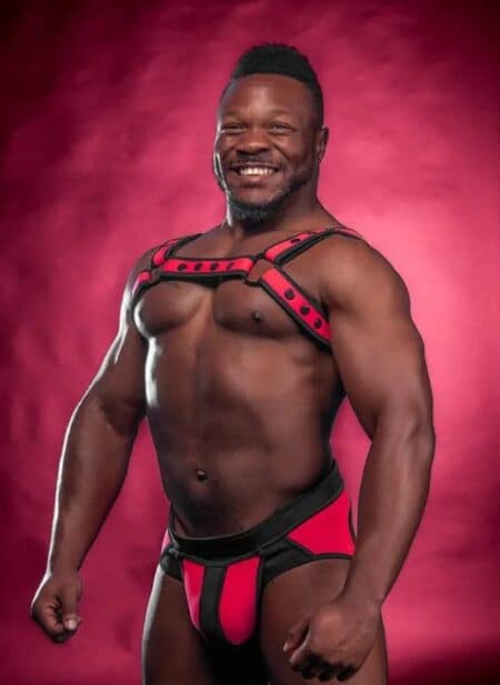 Mr. S Neoprene Bold Color Bulldog Harness (14 colors)