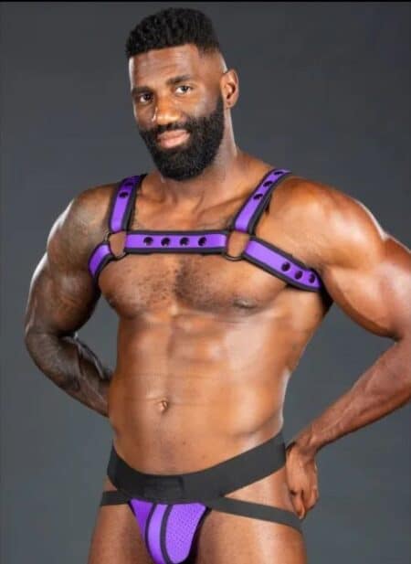 Mr. S Neoprene Bold Color Bulldog Harness (14 colors)