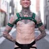 Mr. S Neoprene Bold Color Bulldog Harness (14 colors)