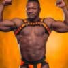 Mr. S Neoprene Bold Color Bulldog Harness (14 colors)