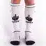 Brutus FUCK Socks with Pocket White