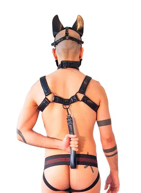 Brutus Vegan Leater Bulldog Harness