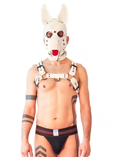 Brutus Vegan Leather Pup Hood