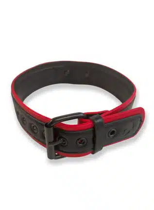 Brutus Vegan Leather Puppy Collar