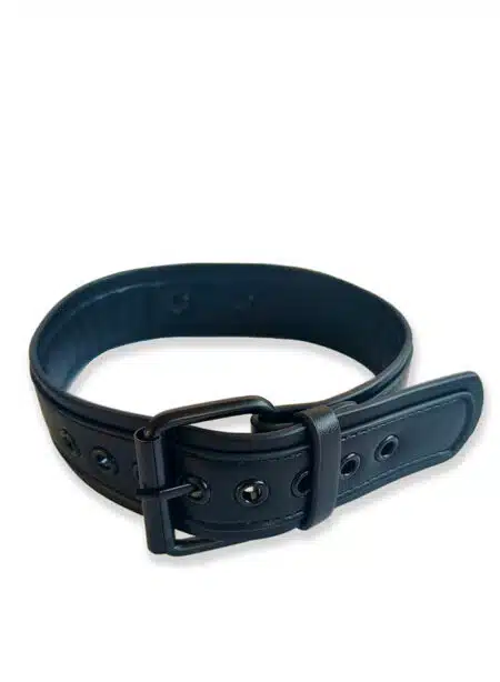 Brutus Vegan Leather Puppy Collar