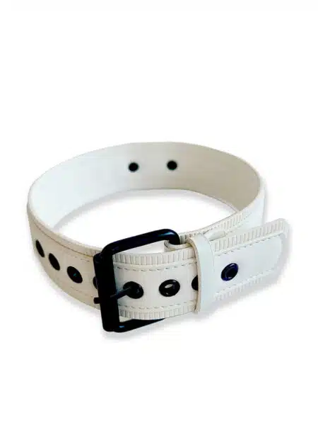 Brutus Vegan Leather Puppy Collar