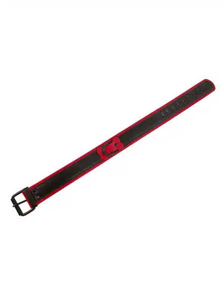Brutus Vegan Leather Puppy Collar