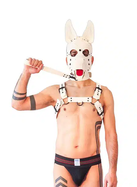 Brutus Vegan Leather Short Pup Leash