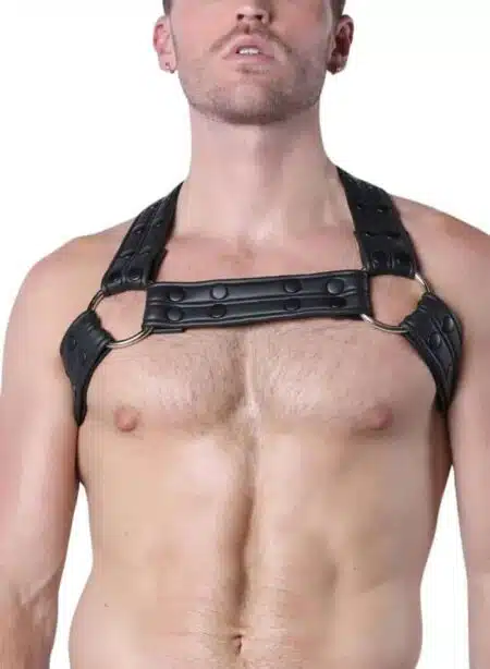 Cellblock 13 Battle Harness