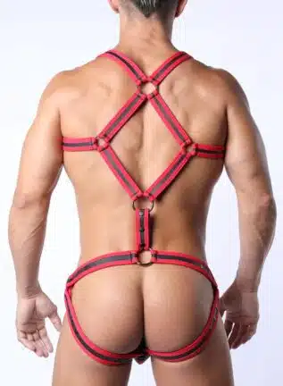 Cellblock 13 Diamondback Body Harness Red