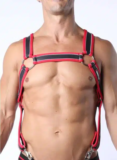 Cellblock 13 Mercury Harness Red