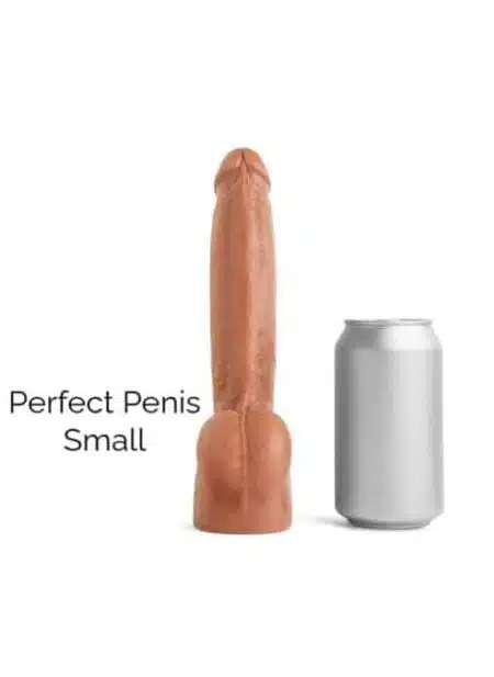 Hankey’s Toys Perfect Penis