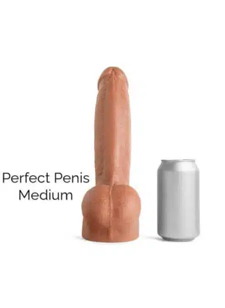 Hankey’s Toys Perfect Penis