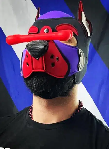 JetPup Chew Toy Bone Multiple Colors