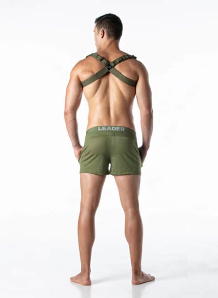 Leader Combat Harness Army