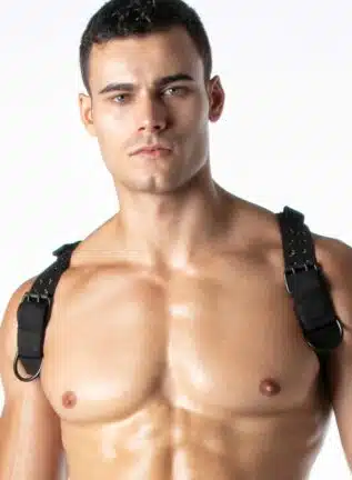 Leader Combat Harness Army