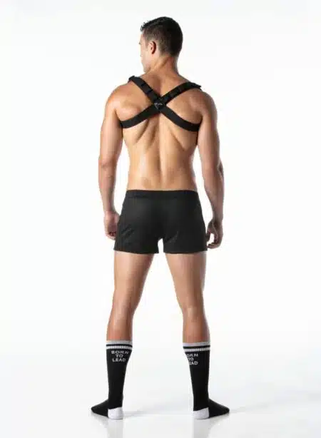 Leader Combat Harness Army