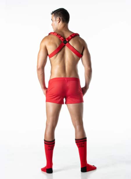 Leader Combat Harness Red
