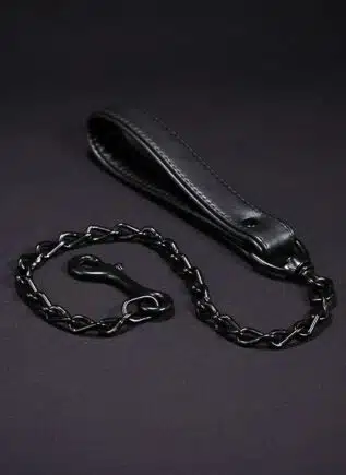 Leather Puppy Leash - 3 Colors