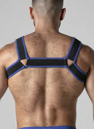 Locker Gear Mesh Chest Harness Blue