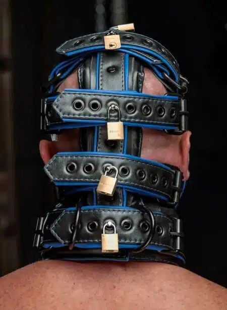 Mr. S Hardline Head Harness Muzzle Padded Locking Blue