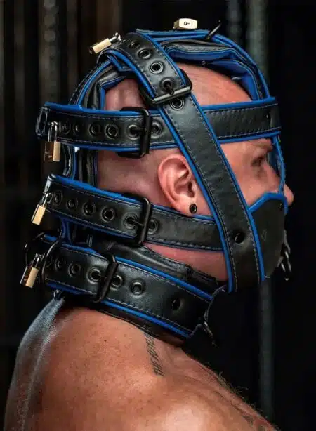 Mr. S Hardline Head Harness Muzzle Padded Locking Blue