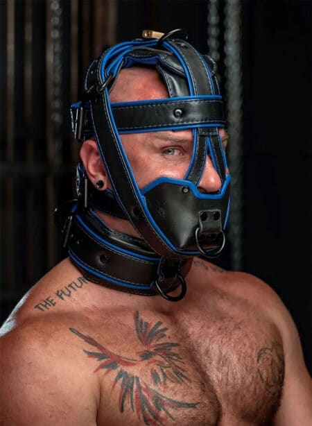 Mr. S Hardline Head Harness Muzzle Padded Locking Blue