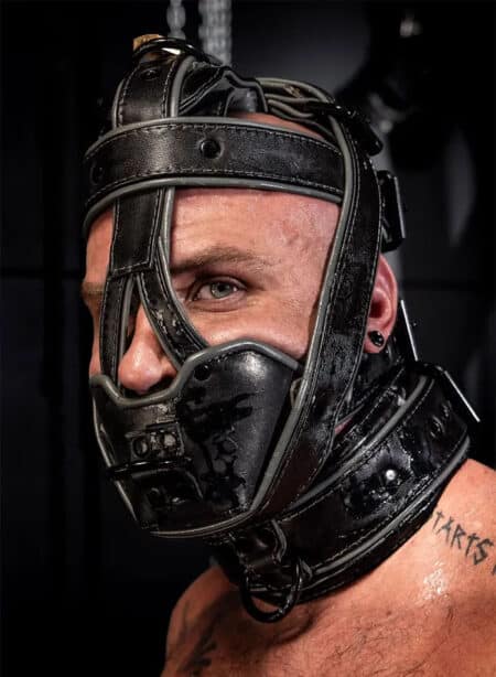 Mr. S Hardline Head Harness Muzzle Padded Locking Grey